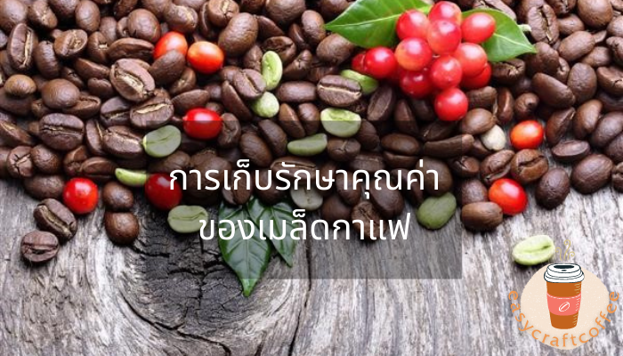 การเก็บและรักษาคุณค่าของเมล็ดกาแฟ ต้องบอกก่อนเลยว่า เมล็ดกาแฟ เป็นอีกหนึ่งพืชผลที่สามารถนำมาสร้างรายได้ของทางธุรกิจอย่างมาก