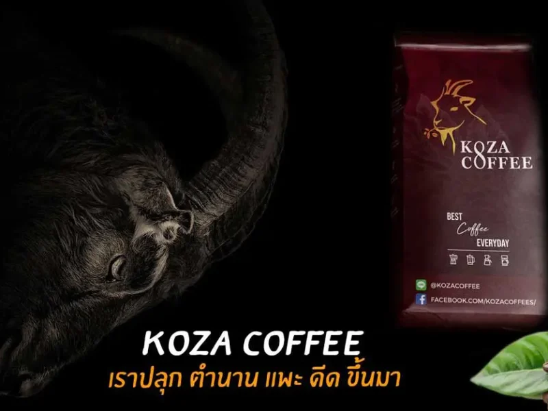 เมล็ดกาแฟ ชลบุรี Koza Coffee กาแฟเมล็ดคั่วสดคุณภาพสูง