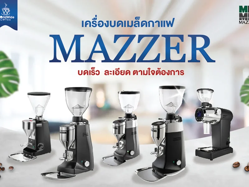 เครื่องบดเมล็ดกาแฟ MAZZER การันตี คุณภาพดี ราคาถูก